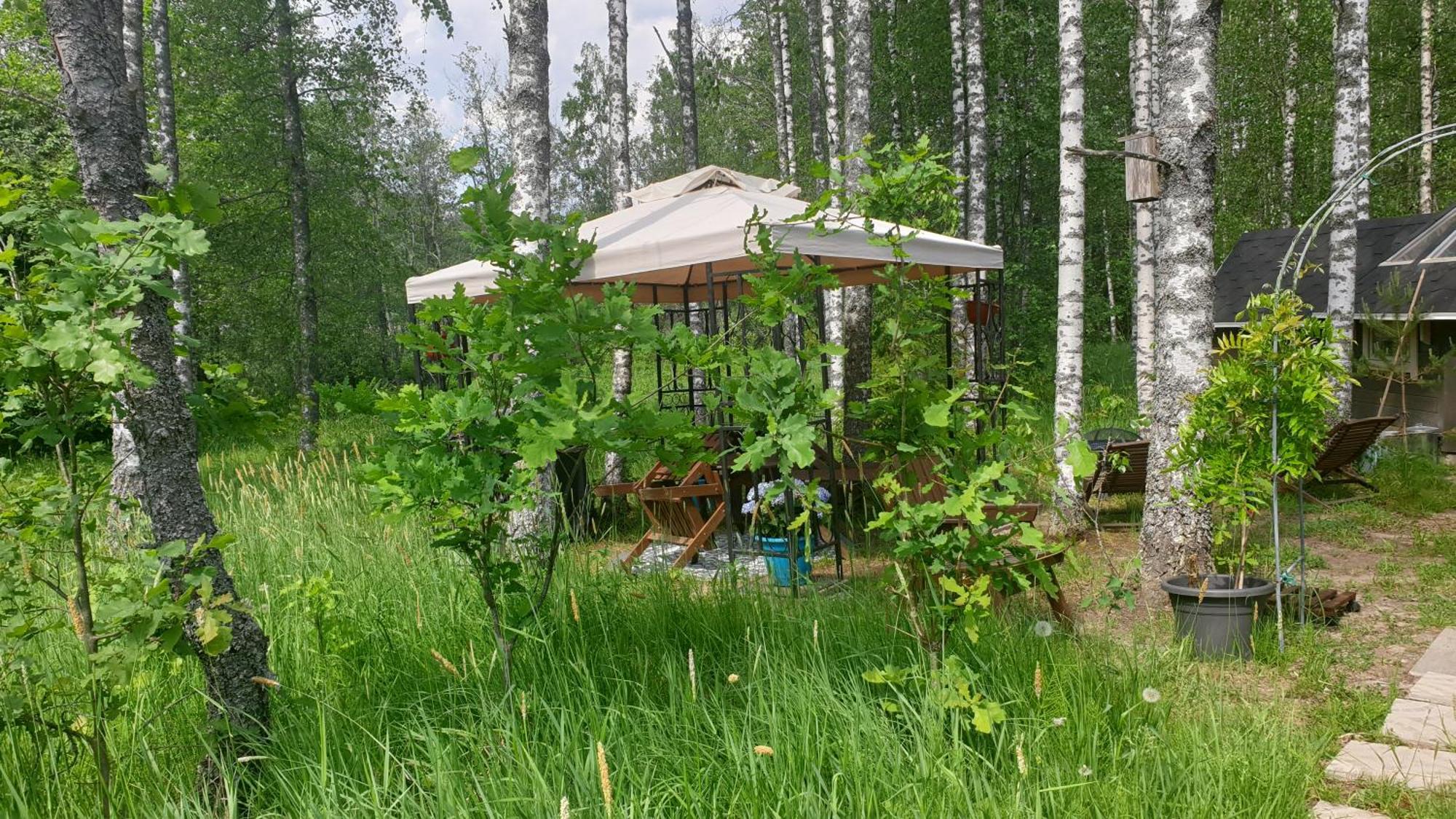 Troll House Eco-Cottage, Nuuksio For Nature Lovers, Petfriendly エスポー エクステリア 写真